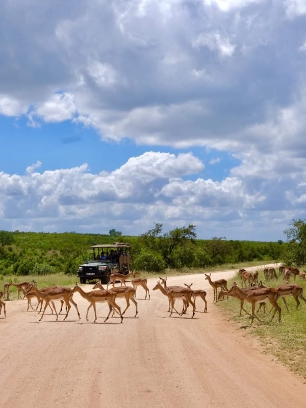 The Kenya & Tanzania Cross-Border Journey