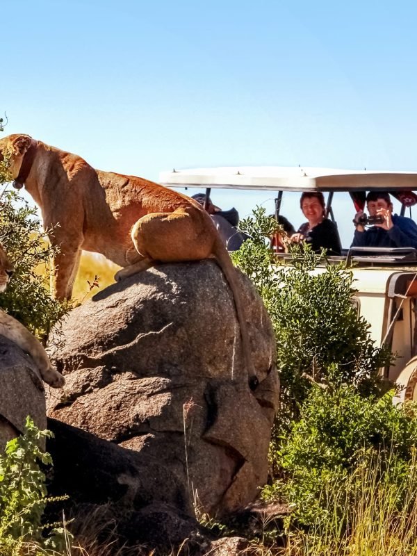 The Northern Tanzania Signature Journey