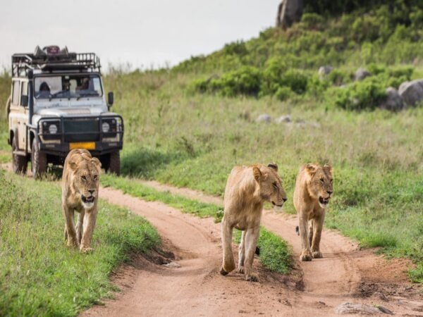 The Southern Tanzania Wilderness Journey
