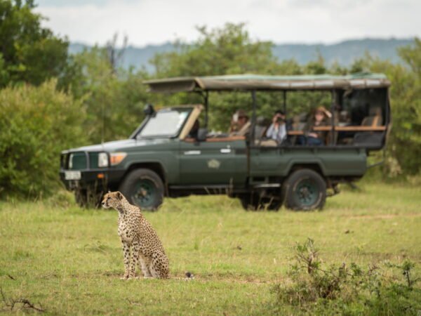 The Slow Safari & Cultural Immersion Journey