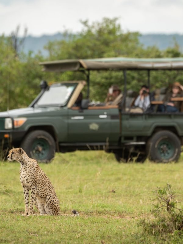 The Slow Safari & Cultural Immersion Journey