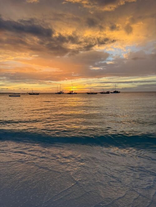 Tanzania Honeymoon Experience – Safari & Zanzibar