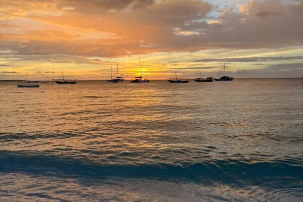 Tanzania Honeymoon Experience – Safari & Zanzibar